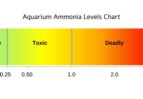 salt water aquarium ammonia levels